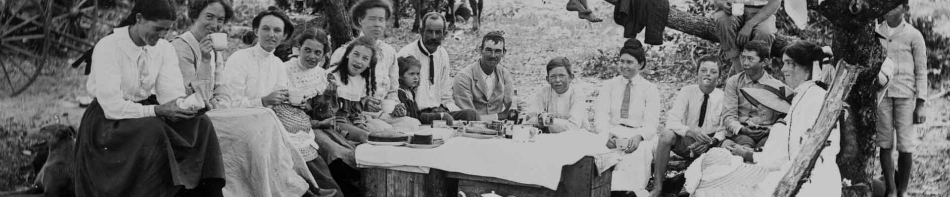 Large family group sitting around a picnic with 3 people in a tree behind 1900-1910