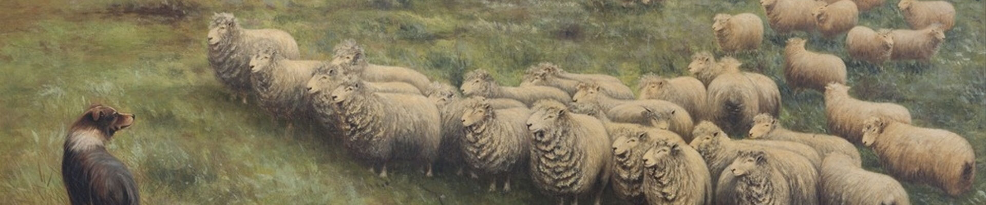 Anthony Alder 1838 1915 Lincoln sheep Homeward Laddie 1895 Oil on canvas 109 x 135 cm John Oxley Library State Library of Queensland ACC 28082