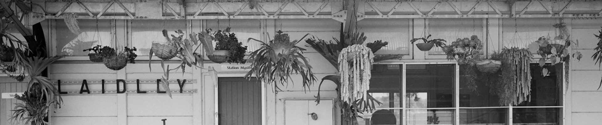Photograph of the station building at Laidley in 1994 with hanging plants staghorns and a parcel trolley