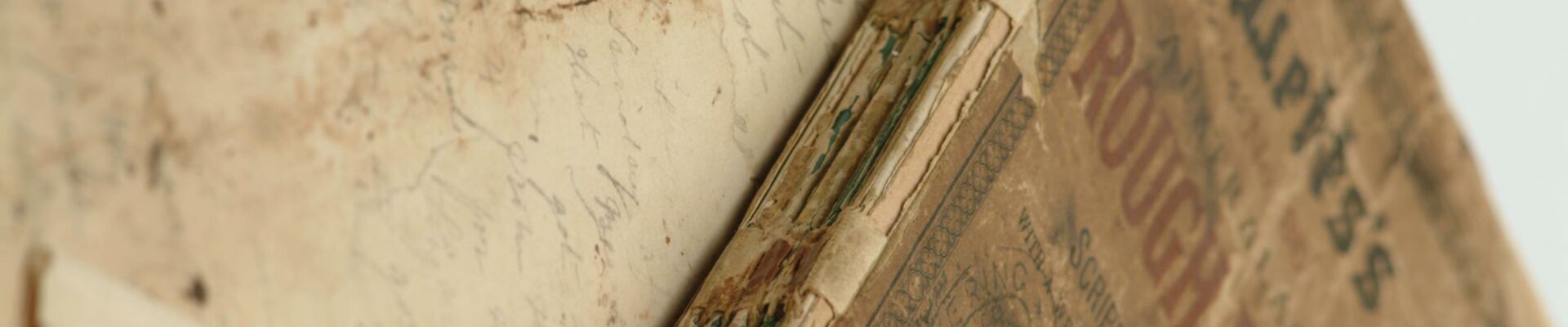 Mary Watson Diaries 1881