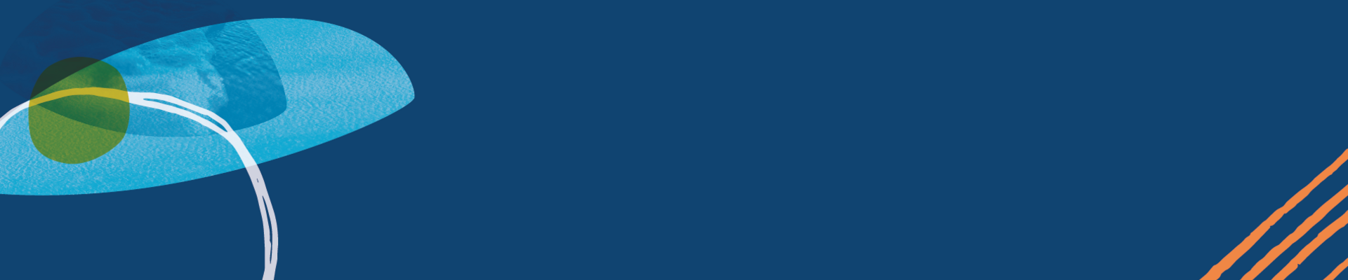 Next Library visual identity Next Library visual identity header image