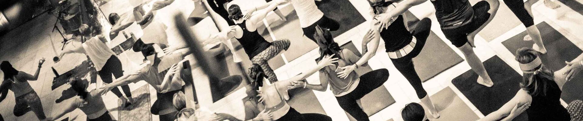 Group of Yoga Participants Group of Yoga Participants