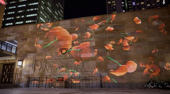 Falling poppy light display Anzac Square 2024