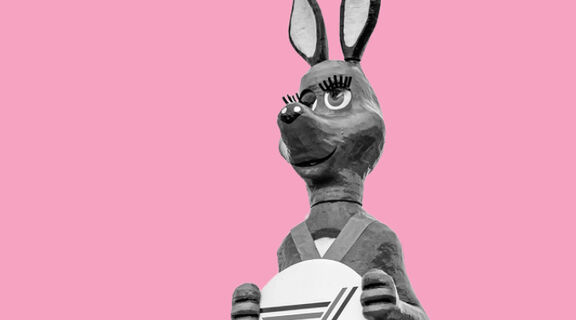 Kangaroo on a pink background