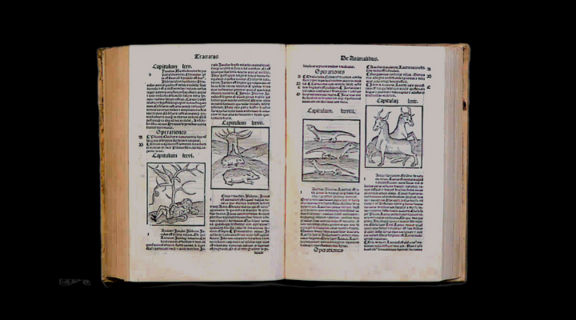Medieval World primary sources