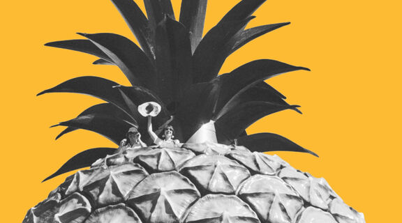 Pineapple on a yellow background.