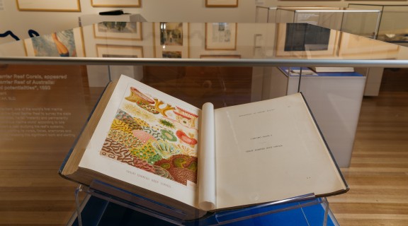 Preserved book in the Islands exhibition at the State Library of Queensland. Photo by Josef Ruckli.