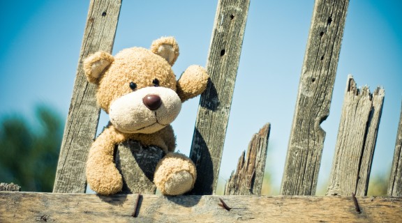 Ready to spot a teddy bear on your walk with your little one