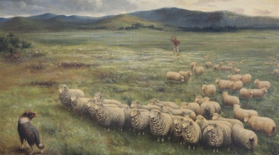 Anthony Alder (1838 – 1915), Lincoln sheep, Homeward Laddie, 1895, Oil on canvas, 109 x 135 cm, John Oxley Library, State Library of Queensland. ACC: 28082