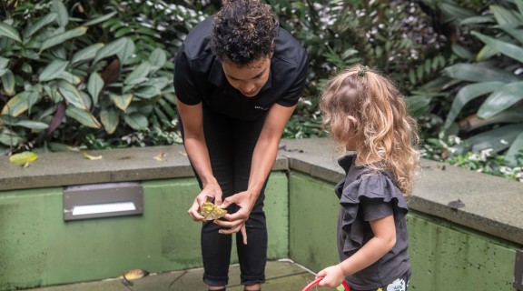 Adult and child playing with nature in the garden