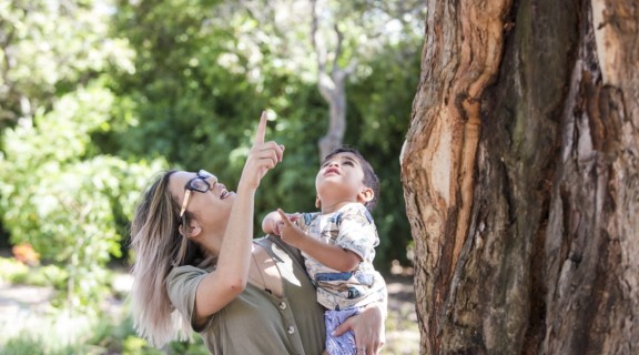 Using describing words to boost your child's literacy