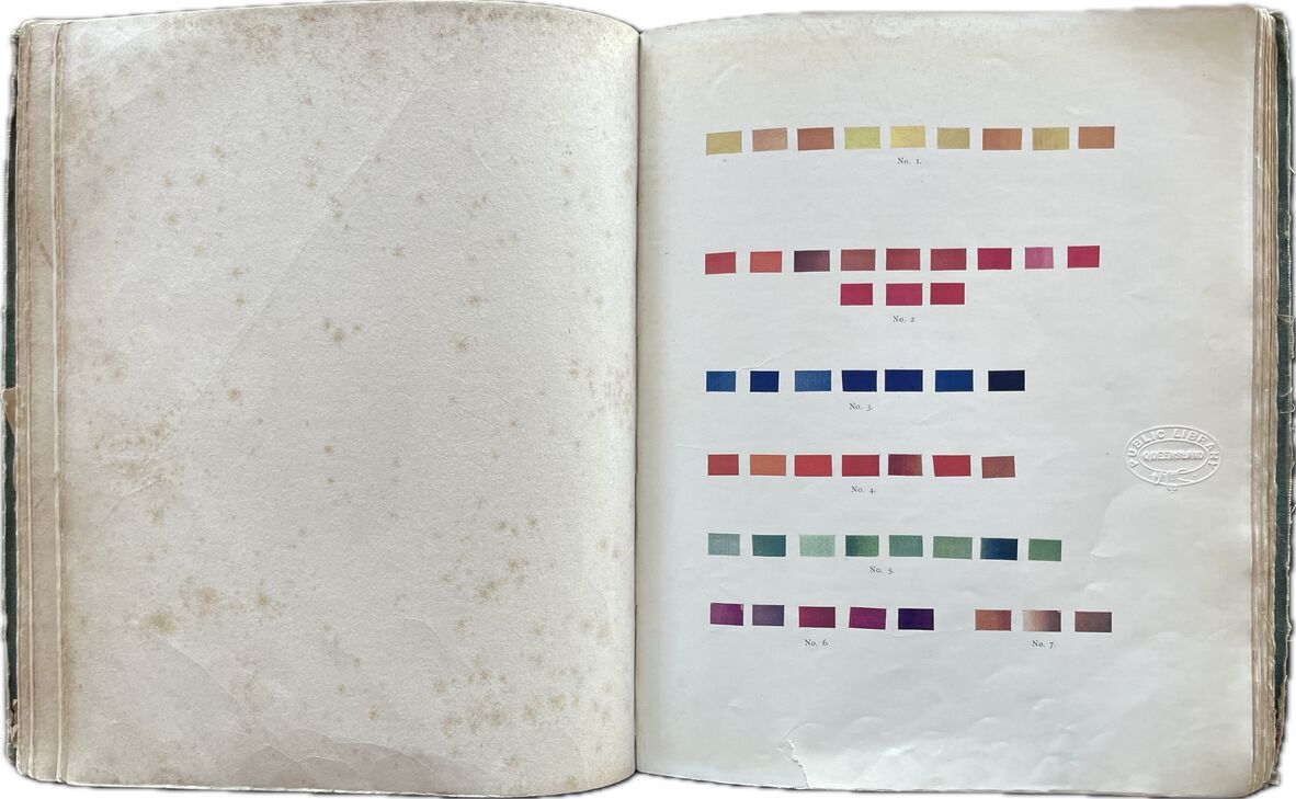 Colour in the home : with notes on architecture, sculpture, painting, and upon decoration and good taste / by Edward J. Duveen.