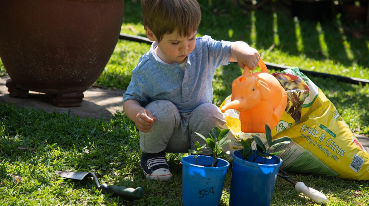A child watering plants in an outdoor area