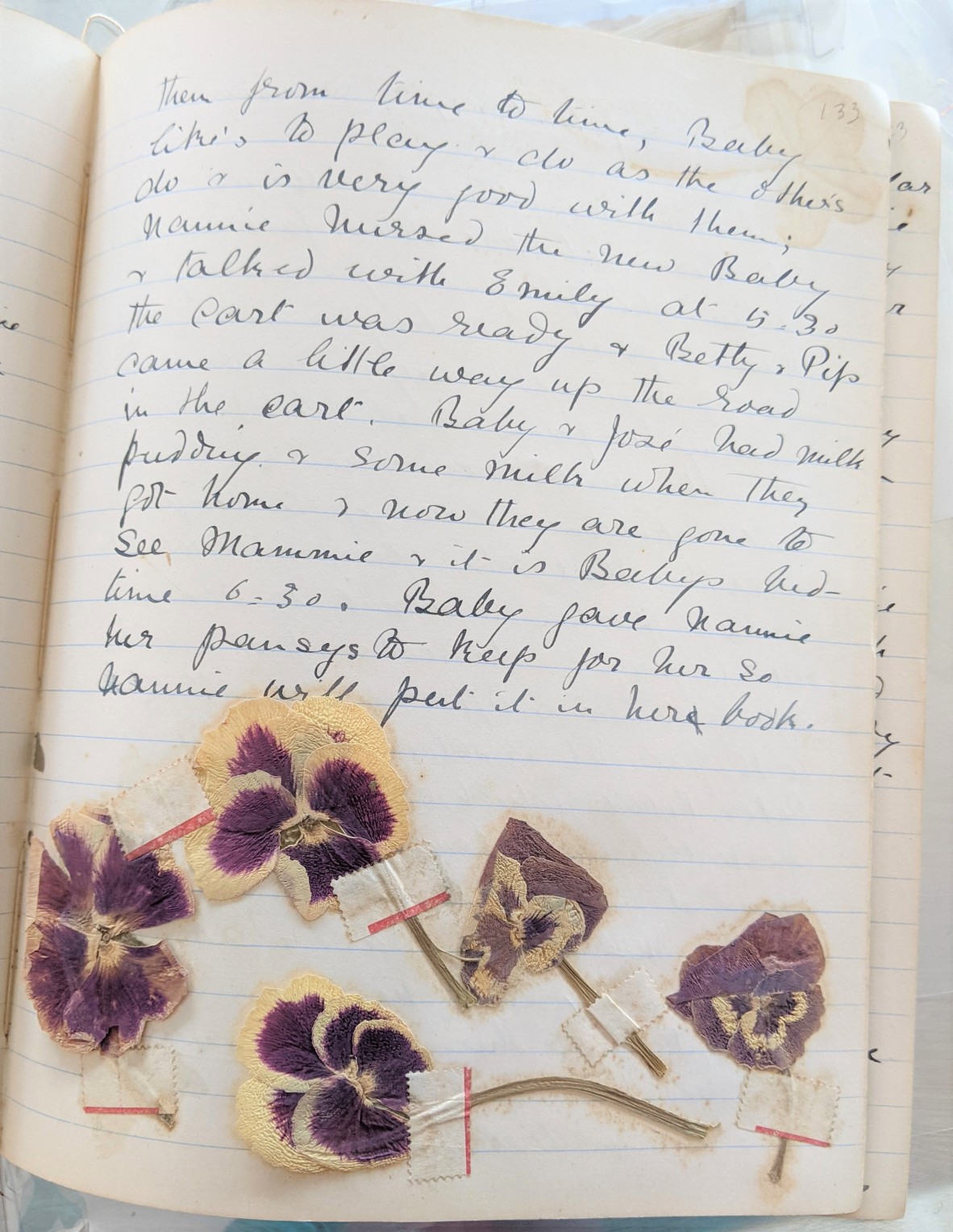Laurie Smith Diary 1904