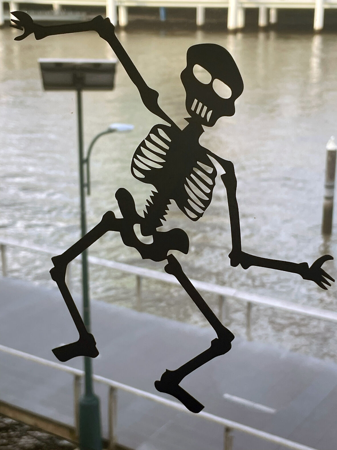 A photo of black skeletons on a window