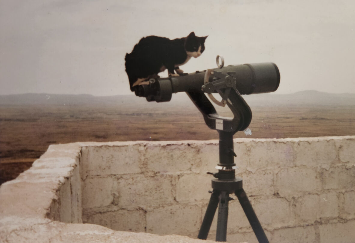 Cat sitting atop a telescope at Observation Post 56, Golan Heights