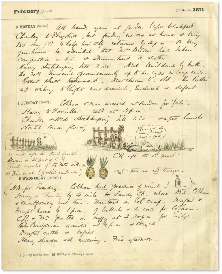 Diary, Shamrock Vale, 1871
