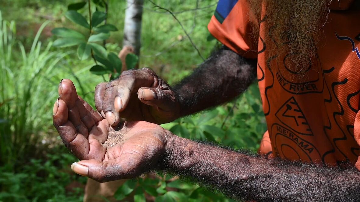 Richard Barkley preparing termite mound dust for consumption. 