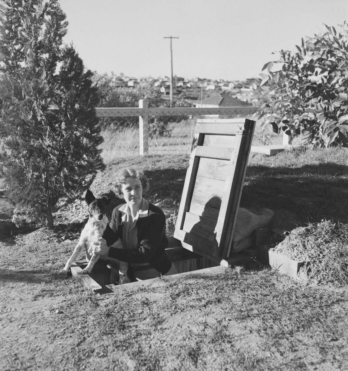Elsie with her dog at the entrance to an air-raid shelter in the backyard at Camp Hill, 1939-1945