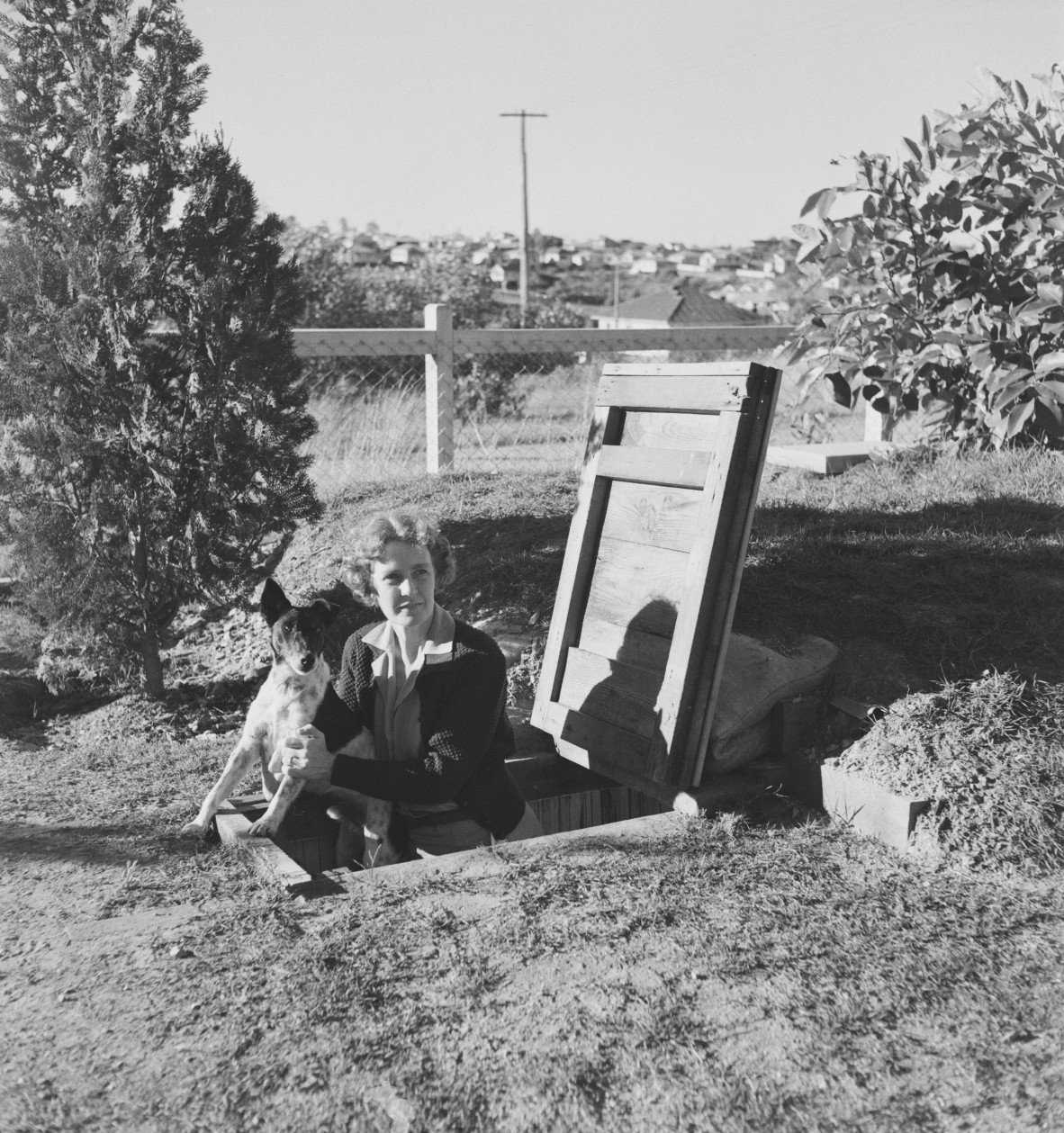 Elsie with her dog at the entrance to an air-raid shelter in the backyard at Camp Hill, 1939-1945