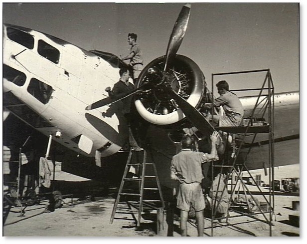 459 Squadron RAAF, 1944