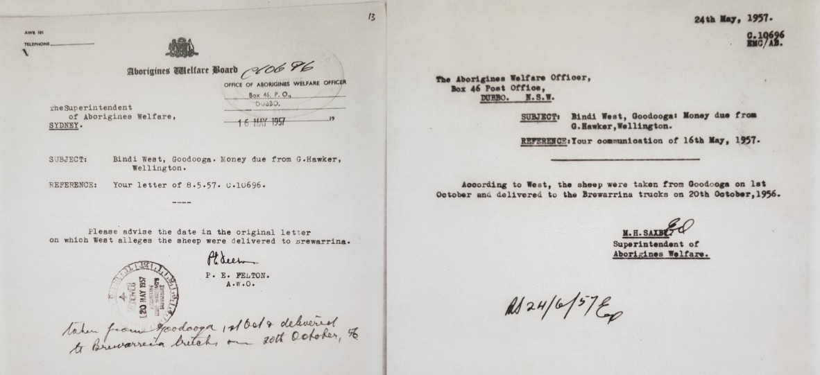On 16th May 1957, Felton at Aborigines Welfare Board Dubbo wants to know the date Bindi West alleges the sheep were delivered to Brewarrina in his original letter. Saxby advises the dates in his reply letter on 24th May, that West had stated that the sheep had been delivered on 20th October 1956.