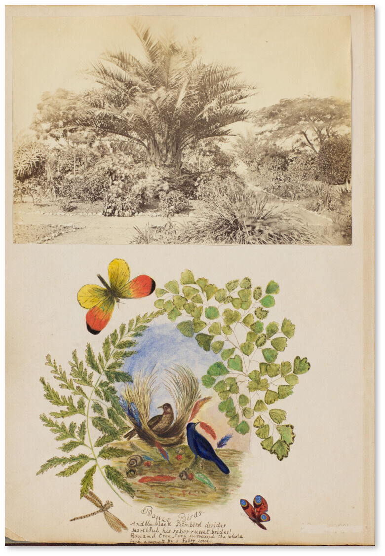 Photograph album page