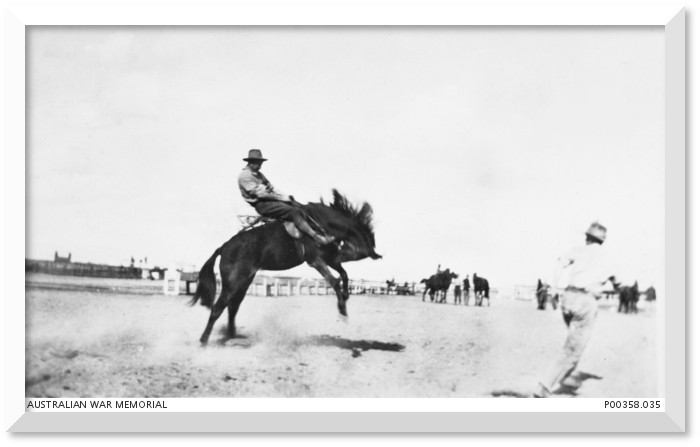 Buckjumping, 2nd Remount Unit