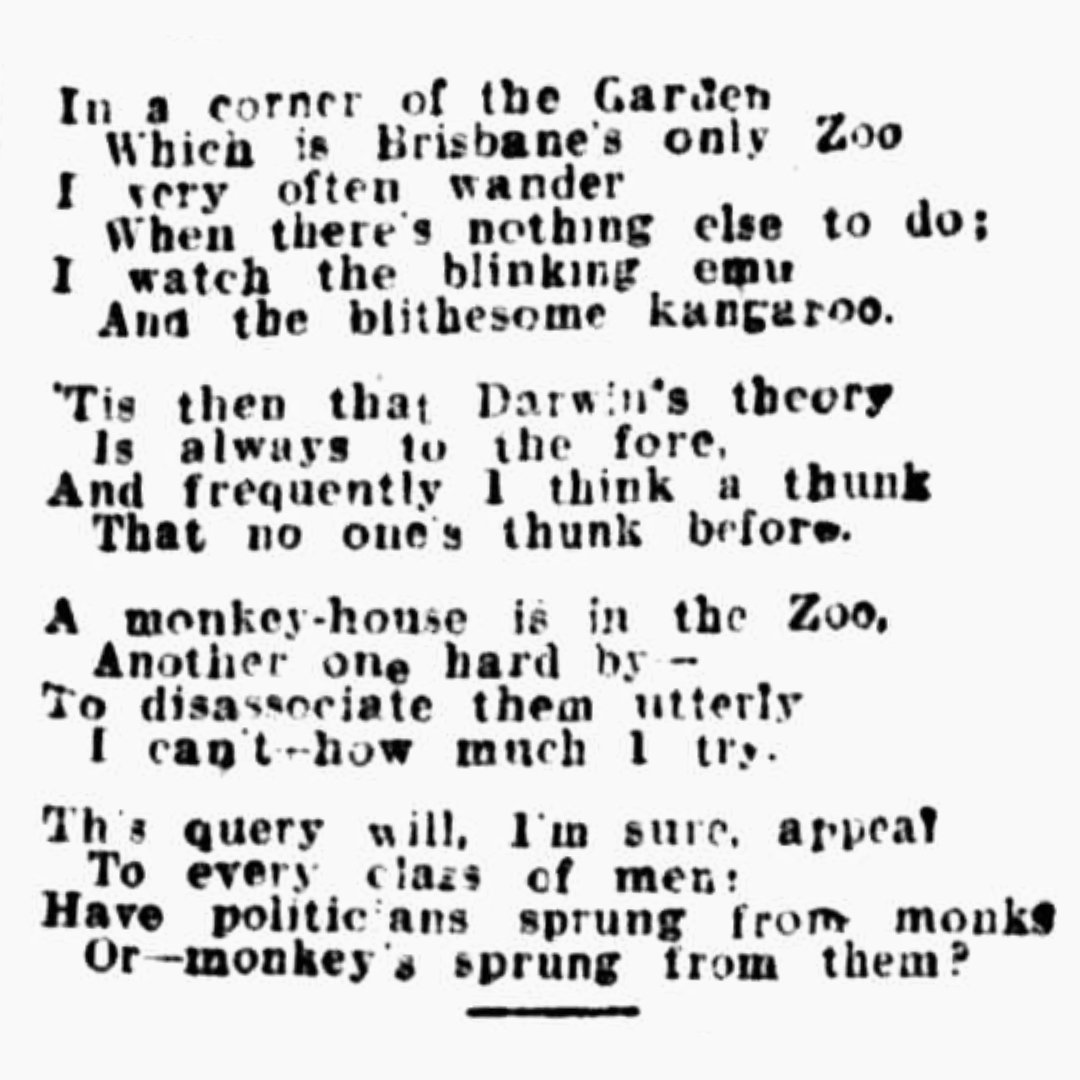 "In a corner of the Garden/Which is Brisbane's only Zoo/I very often wander / When there's nothing else to do;/I watch the blinking emu/And the blithesome kangaroo. 'Tis then that Darwin's theory Is always to to the fore/And frequently I think a thunk/That no one's thunk before. A monkey-house is in the Zoo/Another one hard by/To disassociate them utterly/I can't - how much I try. The query will, I'm sure, appeal/To every class of men:/Have politicans sprung from monks/Or-monkey's sprung from them?"