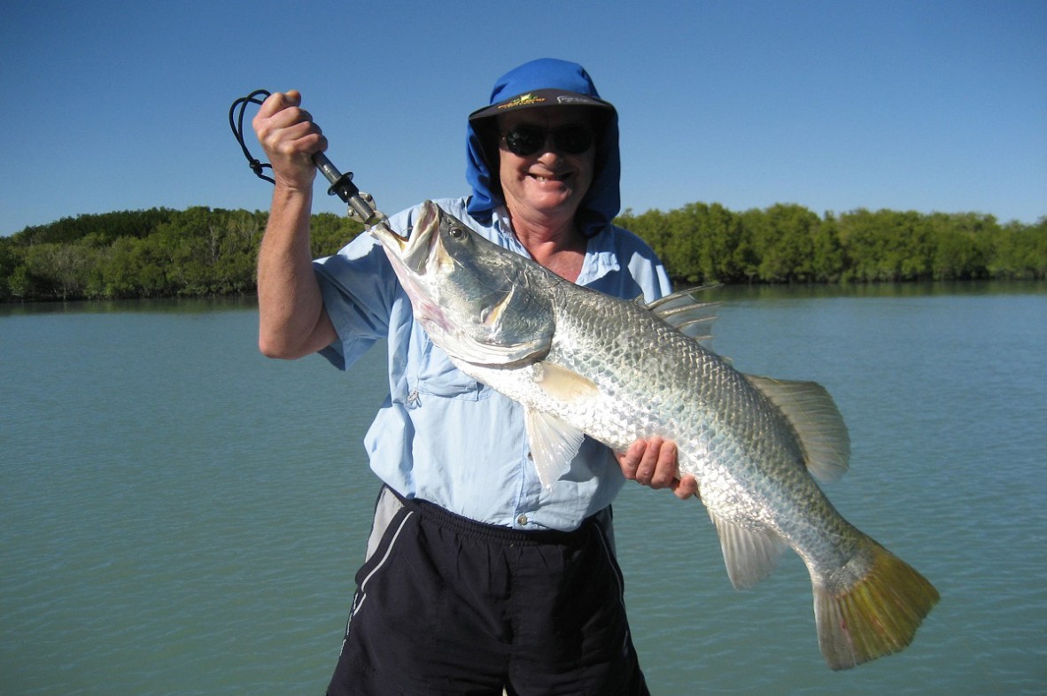 A Barramundi, Lates calcarifer, from the Lawley River, Kimberley, Western Australia. 