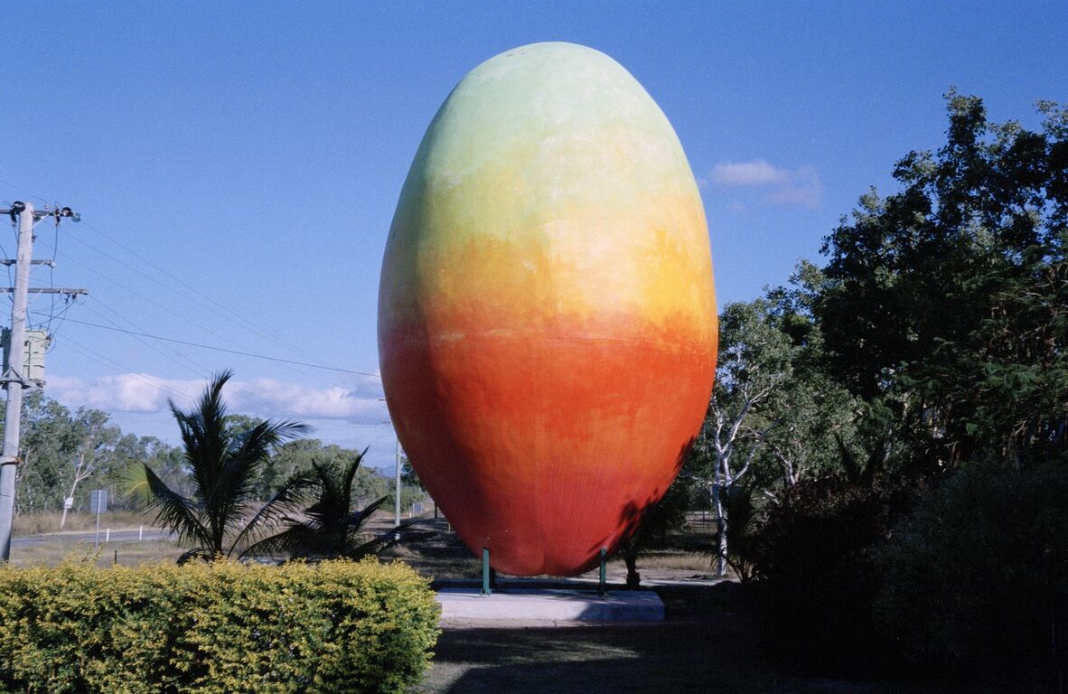 Big Mango at Bowen