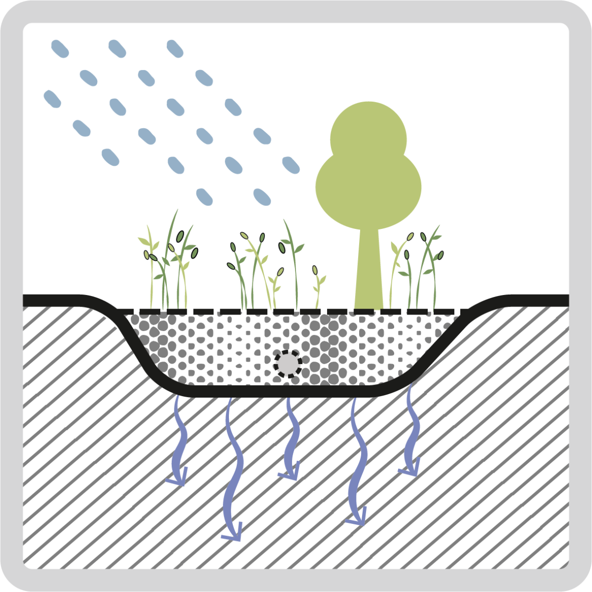 Bioretention cell diagram