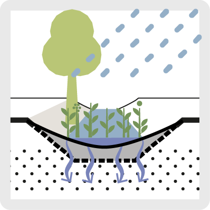 Bioswale diagram