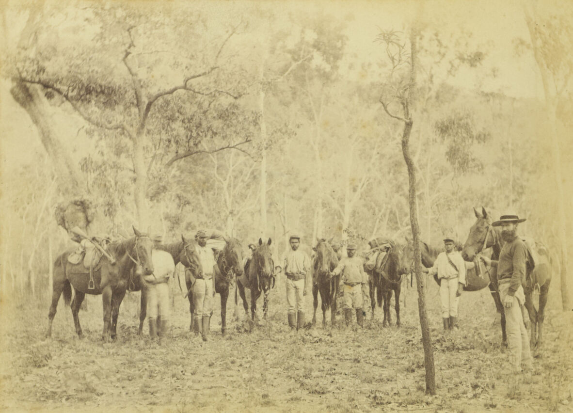 A black and white photo of men in a camp standing next to horses and surrounded by trees.