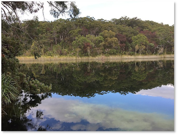 Blue Lake (Kaboora), North Stradbroke Island (Minjerribah), south-east Queensland, 2018. John Tibby. Wikimedia Commons.