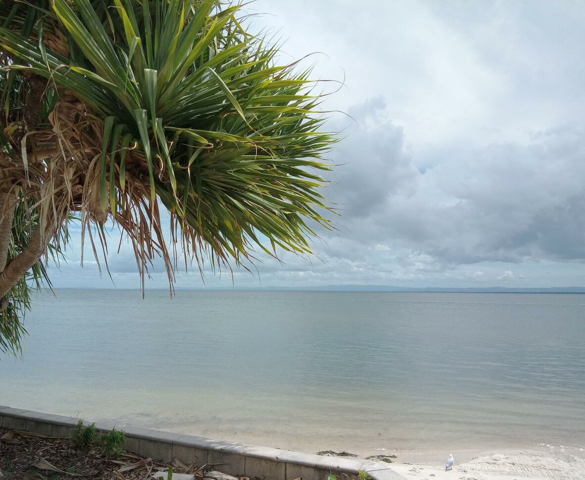 A view of the ocean from nearby the Bongaree War Memorial on Bribie Island.