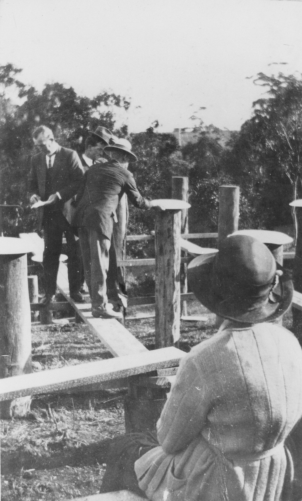 Photo of a stump capping ceremony during the construction of the Bald Knob Public Hall in 1924