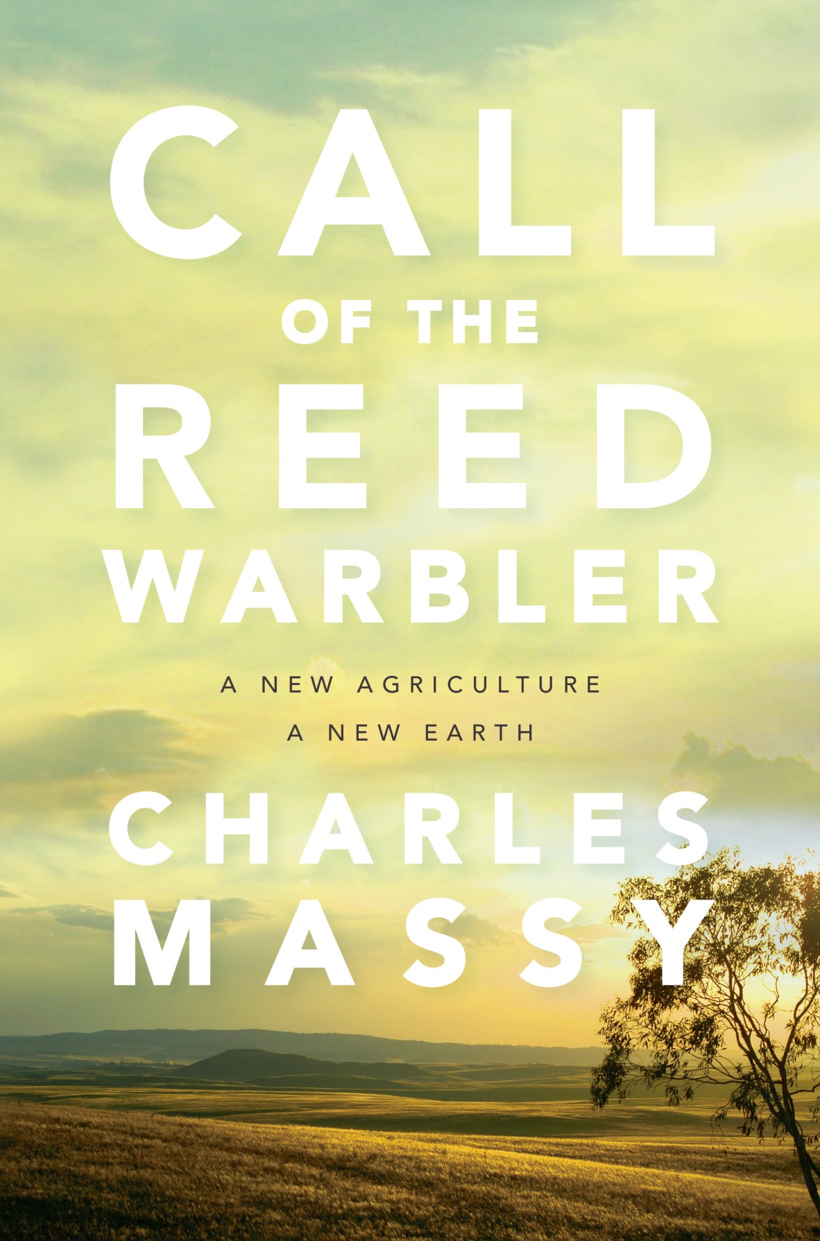 Call of the Reed Warbler by Charles Massy