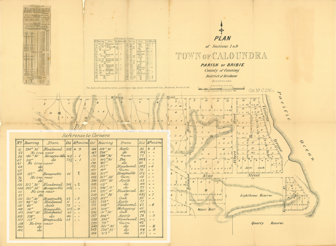 Caloundra Survey Plan 1883 showing survey tree species
