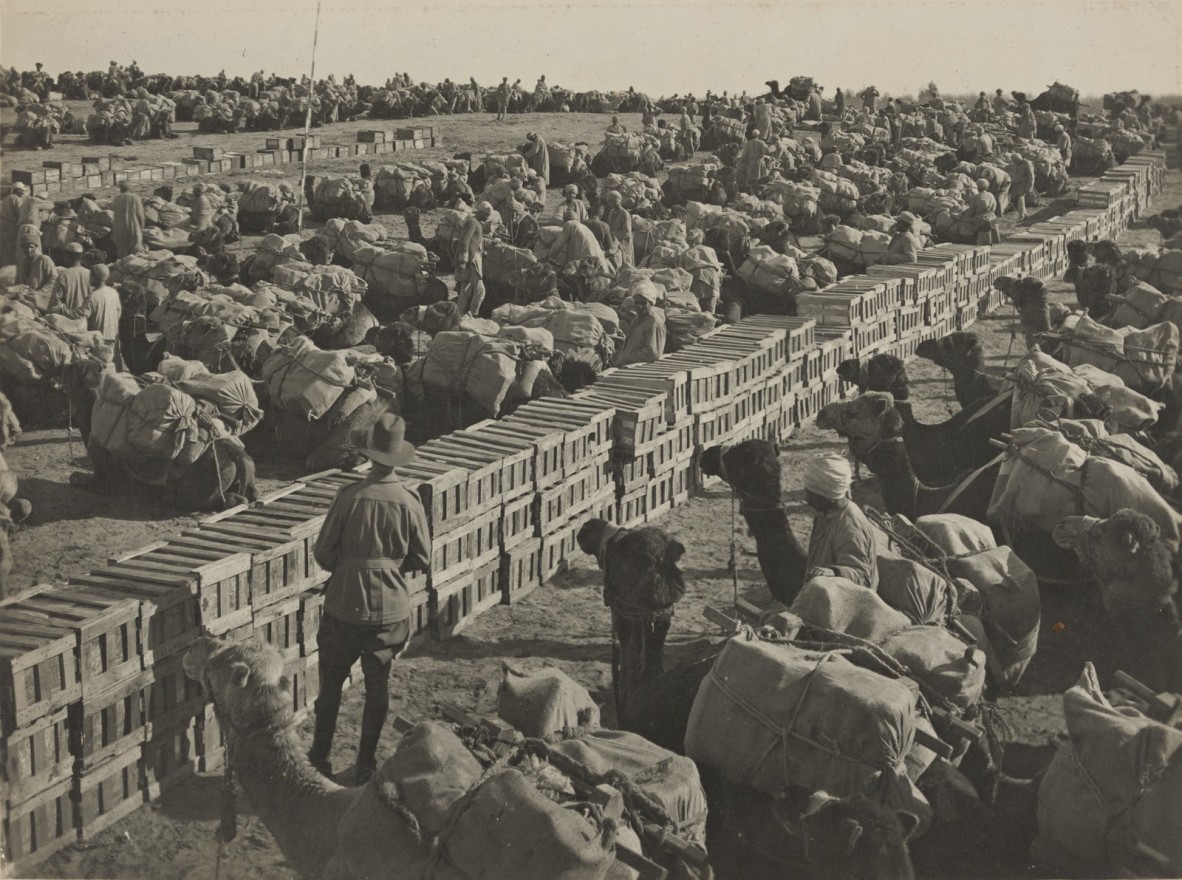  Australian Army Service Corps transport camels during the First World War at Deiran, Israel, 1914-1918
