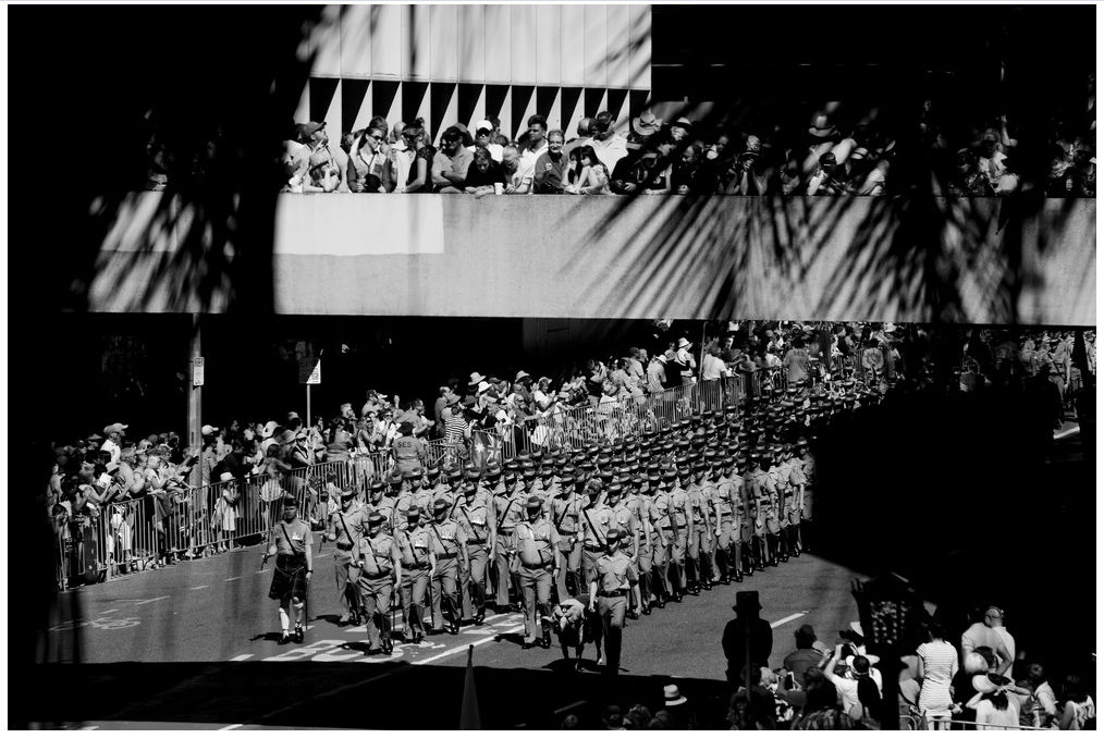 Cairns, Hamish, 8th/9th Battalion, Royal Australian regiment, marching with their mascot, a Merino ram called John MacArthur in the Brisbane Anzac Day Parade, 25 April, 2015, pp.29874 Hamish Cairns Anzac Day Photographs 2015. 