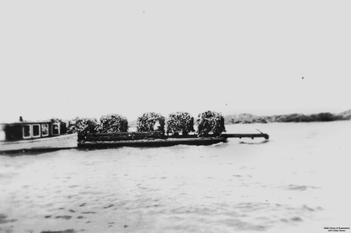 Black and white image of a cane punt bringing sugar cane across Maroochy River, Queensland, to mill, ca.1930s