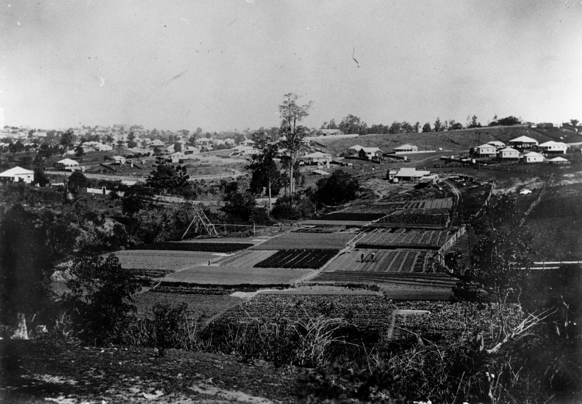 View of a plot of gardens and houses