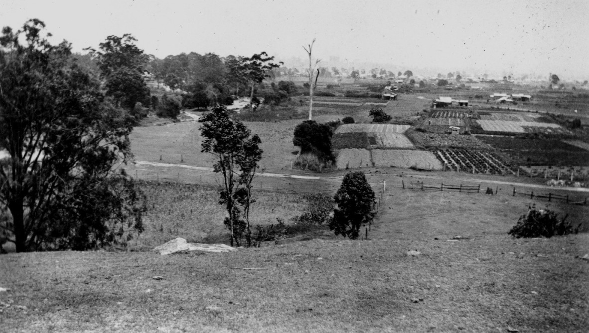 A view over vegetable plots surrounded by trees
