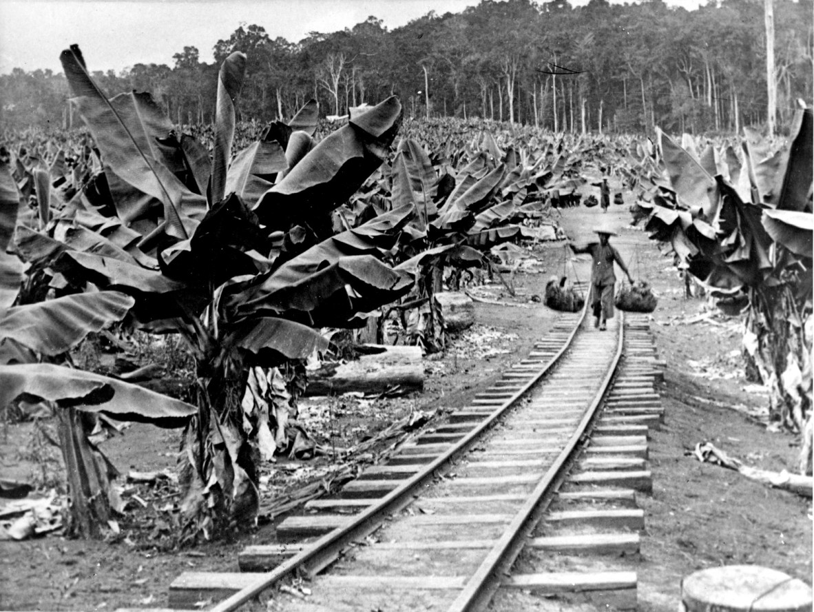 Image of Chinese workers carrying bananas to a train, near Innisfail