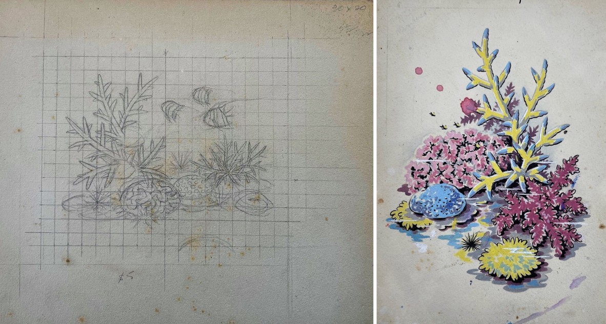 Left: 'Coral garden' pencil sketch on grid, undated; Right: Watercolour and gouache sketch of corals, undated. Both by Olive Ashworth.