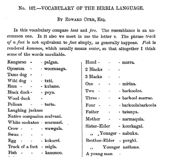 Vocabulary of the Birria Language Curr 1874