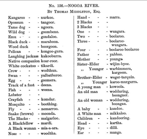 List of words collected from the Nogoa River, 1870's.