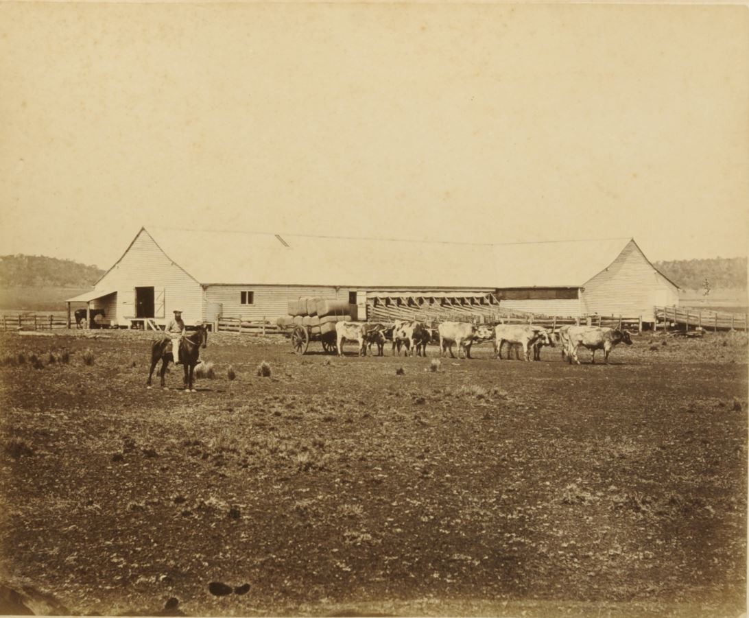 Westbrook Wool Shed, 1877. 