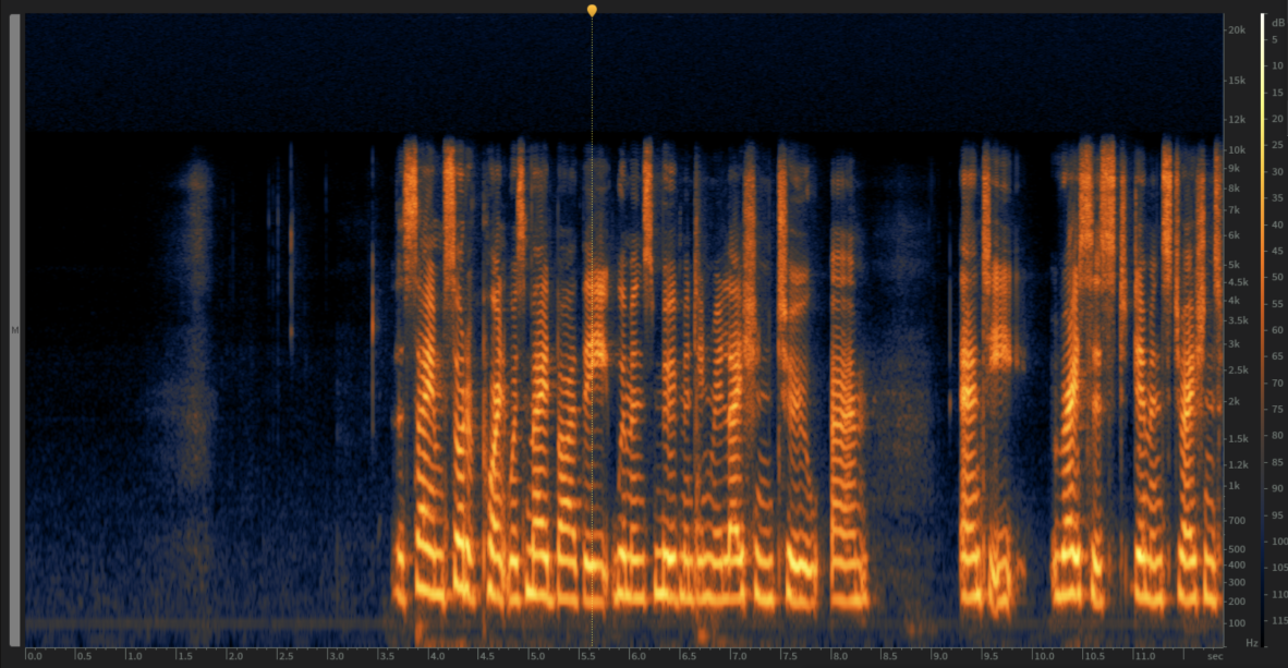 A waveform display of an audio file with de noising applied